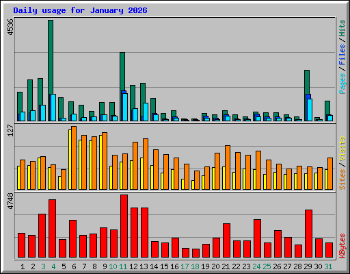 Daily usage for January 2026