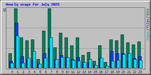 Hourly usage for July 2025