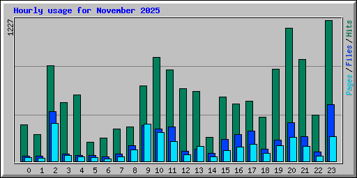 Hourly usage for November 2025